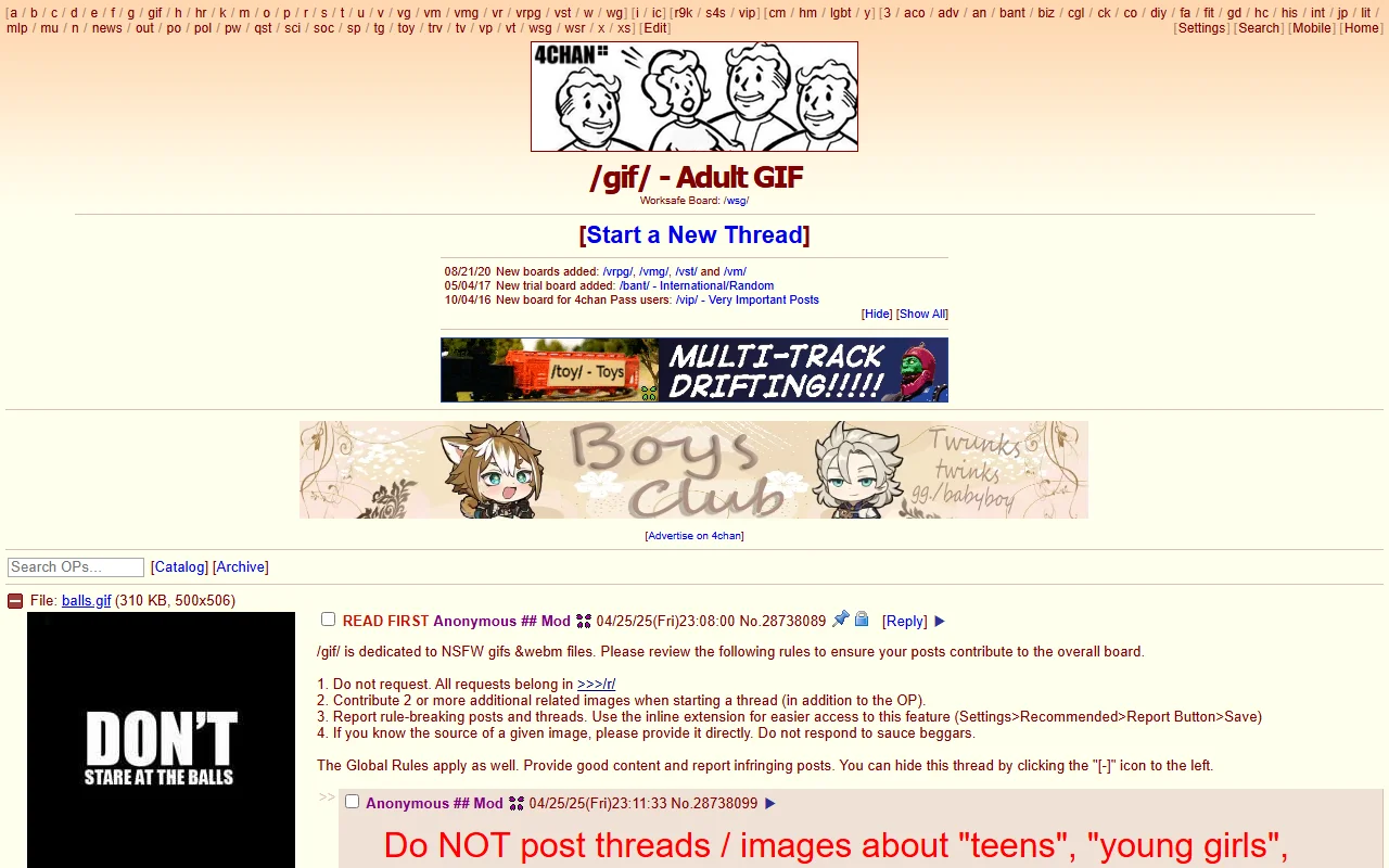 Screenshot: 4Chanadultgif Screenshot of 4Chanadultgif